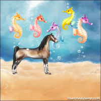 Horse Color:White Spotted Bay Onyx Appaloosa 