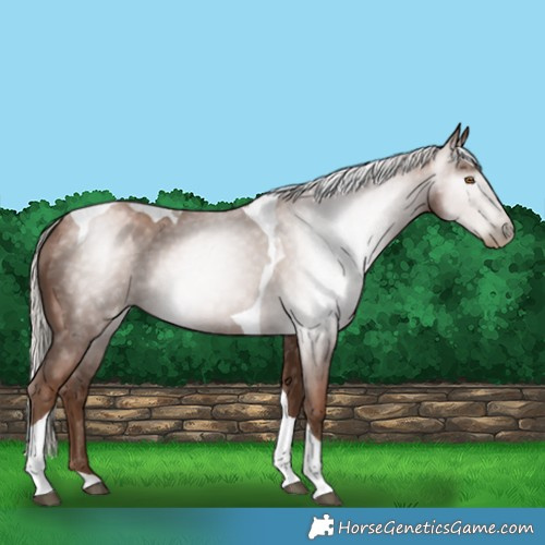 Horse Color:Gray Silver Black Pearl Tobiano 