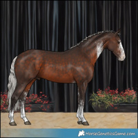 Horse Color:White Spotted Silver Brown Tobiano Rabicano 