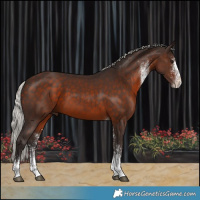 Horse Color:White Spotted Silver Brown Tobiano Rabicano 