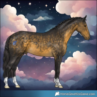 Horse Color:Buckskin 