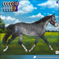 Horse Color:Brown Chinchilla