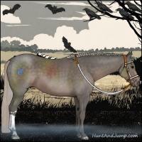 Horse Color:Silver Black 