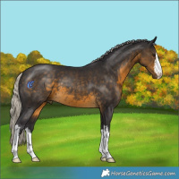 Horse Color:White Spotted Silver Buckskin 