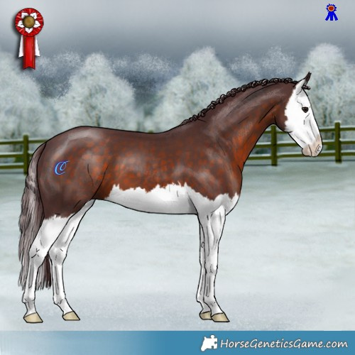 Horse Color:Chocolate Brown Splash 