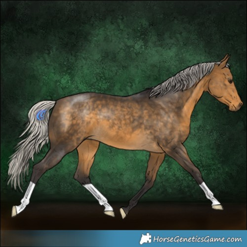 Horse Color:Silver Buckskin 