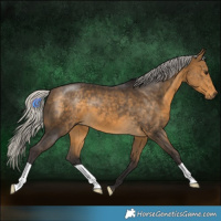 Horse Color:Silver Buckskin 
