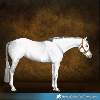 Horse Color:Gray White Spotted Liver Chestnut Tobiano 