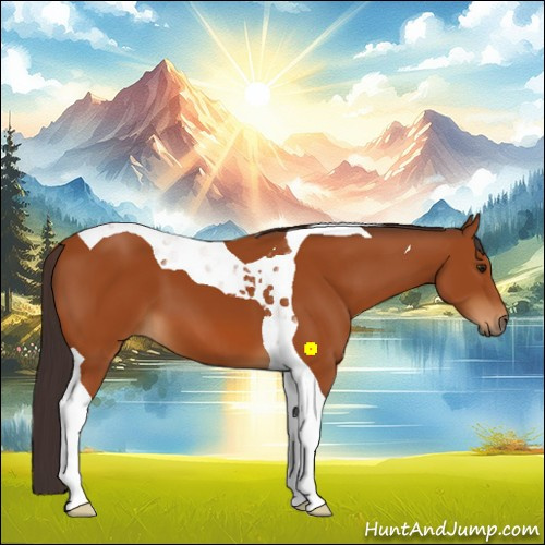 Horse Color:Buckskin Tobiano