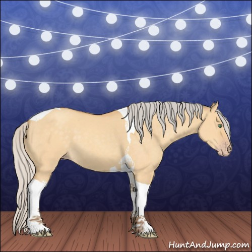Horse Color:Silver Sable Cream Champagne Dun Tobiano