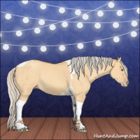 Horse Color:Silver Sable Cream Champagne Dun Tobiano 