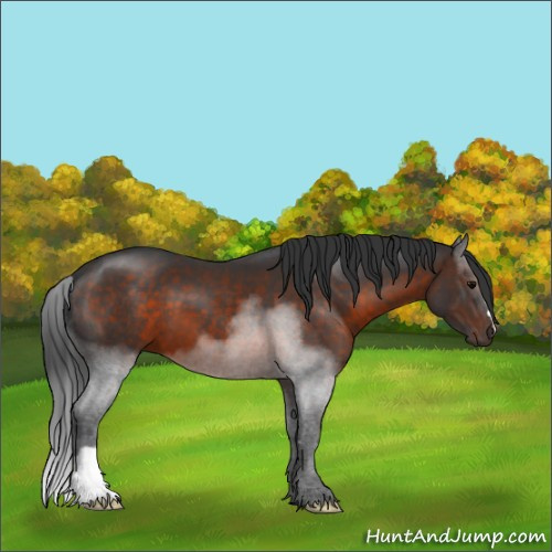 Horse Color:Brown 