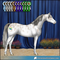 Horse Color:Liver Red Dun Mushroom Sabino 