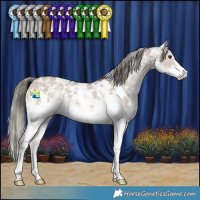 Horse Color:Liver Red Dun Mushroom Sabino 