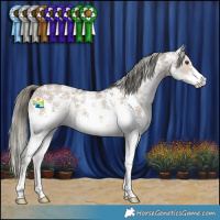 Horse Color:Liver Red Dun Mushroom Sabino 