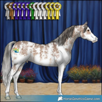 Horse Color:Liver Red Dun Mushroom Sabino 