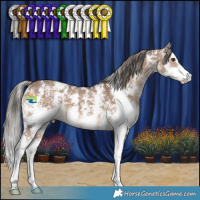Horse Color:Liver Red Dun Mushroom Sabino 