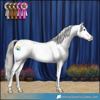 Horse Color:Liver Red Dun Mushroom Sabino Appaloosa
