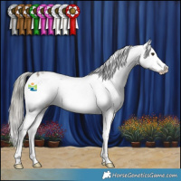Horse Color:Liver Red Dun Mushroom Sabino Varnish 
