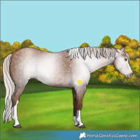 Horse Color:Gray Silver Black Pearl Tobiano 