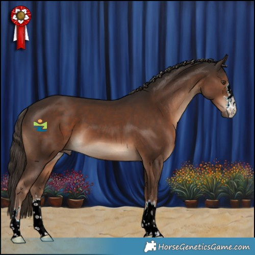 Horse Color:Liver Chestnut 