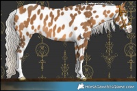 Horse Color:Silver Buckskin Leopard 