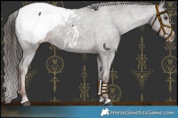 Horse Color:Liver Chestnut Snowcap 