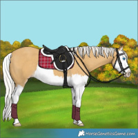 Horse Color:Silver Classic Cream Champagne Splash 
