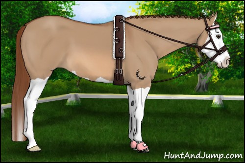 Horse Color:Red Dun Splash 