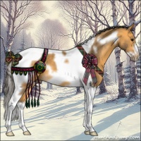 Horse Color:Buckskin Tobiano Frame 