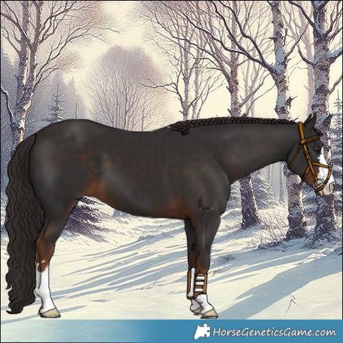 Horse Color:Liver Chestnut 