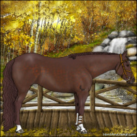 Horse Color:Chocolate Brown 