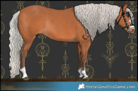 Horse Color:Silver Bay Rabicano