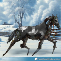 Horse Color:Black Ice  and Black 