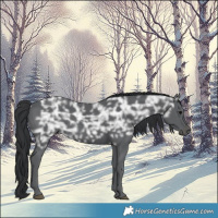 Horse Color:Black Ice 