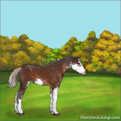 Horse Color:Silver Brown Sabino 
