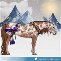 Horse Color:Chestnut Ice 