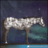 Horse Color:Liver Chestnut Ice 