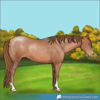 Horse Color:Brown Pearl 