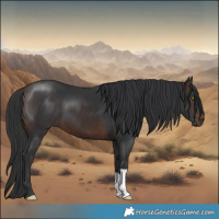 Horse Color:Brown 