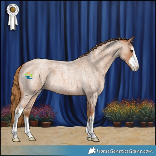 Horse Color:White Spotted Red Roan 