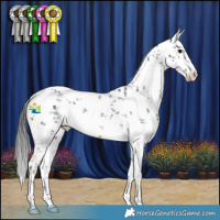 Horse Color:White Spotted Black Sabino