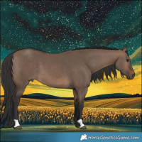 Horse Color:Brown Dun 