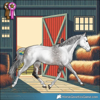 Horse Color:Gray Bay Sabino 