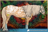 Horse Color:Palomino Ice 