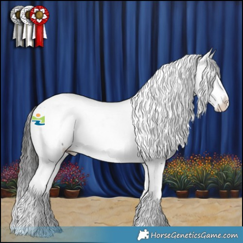 Horse Color:Brown Appaloosa 