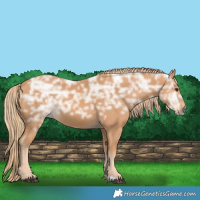 Horse Color:Chestnut Ice 