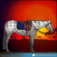 Horse Color:Smoky Grullo Ice 
