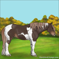 Horse Color:Liver Chestnut Tobiano 