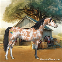 Horse Color:Bay Ice 
